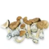 Mazatapec Mushrooms - Germany, Australia, UK, USA & Canada