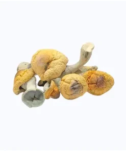 Koh Samui Super Strain