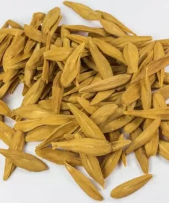 BUY STROPHANTUS GRATUS SEEDS