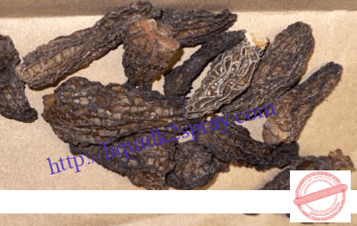 dried morel mushrooms for sale