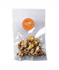 Magic truffles hollandia