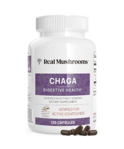Chaga Extract Mushroom Capsules