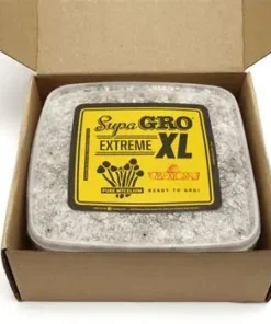 Mexican Supa Gro Kit