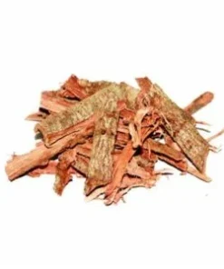 Jurema Preta | Mimosa hostilis – Herbs of the Gods