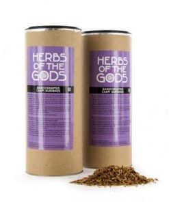 Banisteriopsis Caapi & Chacruna Ayahuasca Herbs