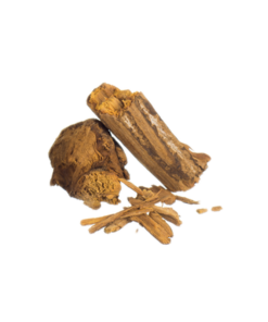 Buy Banisteriopsis caapi Red Brazil