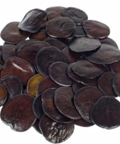 Yopo seeds | Anadenanthera peregrina - Seeds of the Gods