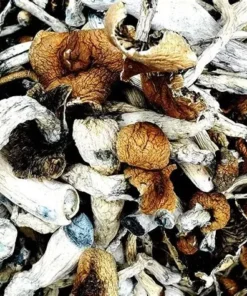 Buy Psychedelics Online