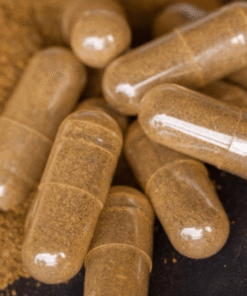 Buy Ibogaine Capsules